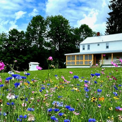 French Woods Farmhouse | Catskills