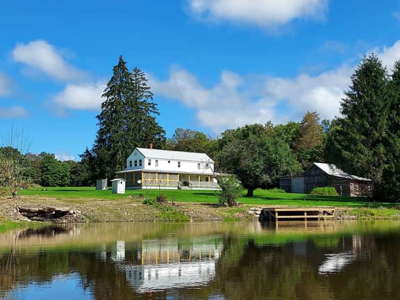 FRENCH WOODS FARMHOUSE | TimeOut NY's Pick | Hot tub | Pond | Dogs OK | NYC=2hr