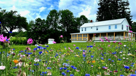 FRENCH WOODS FARMHOUSE | TimeOut NY's Pick | Hot tub | Pond | Dogs OK | NYC=2hr